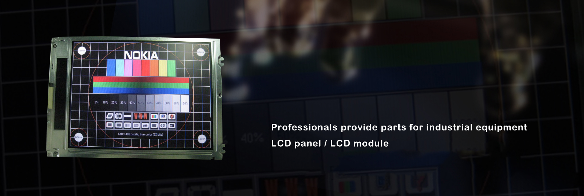 LCD panel/LCD module